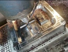 jamur streetlight selaras